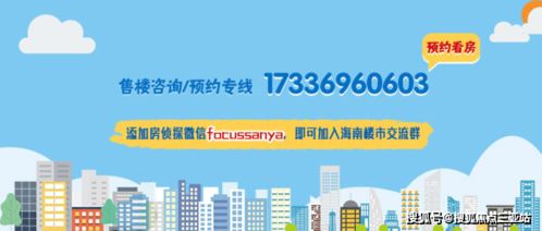 三亞陵水 教育與商業(yè)醫(yī)療配套完善，商務(wù)信息咨詢助力發(fā)展