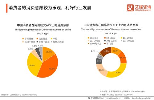 2024-2025年中國婚戀社交服務市場研究報告