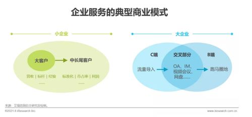《2021年中國(guó)企業(yè)服務(wù)研究報(bào)告》發(fā)布 信息咨詢服務(wù)引領(lǐng)企業(yè)數(shù)字化轉(zhuǎn)型新篇章